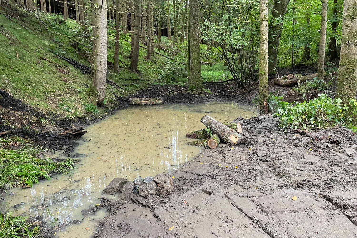 Artenschutzmaßnahmen (5)