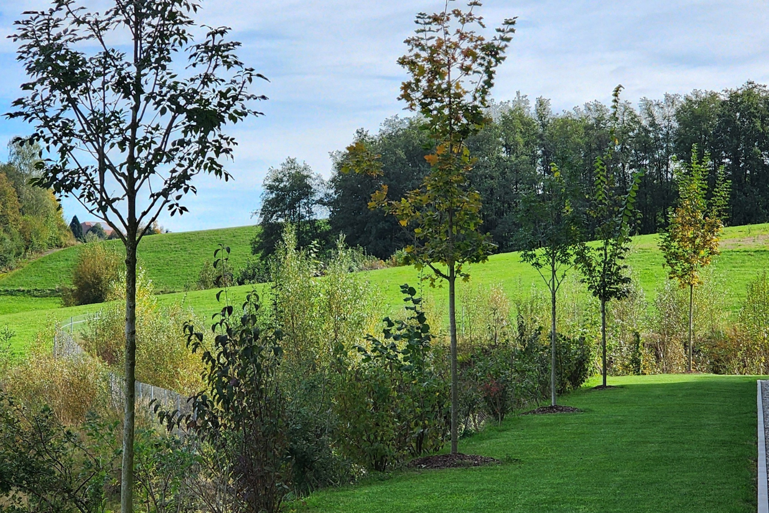Neubaugarten